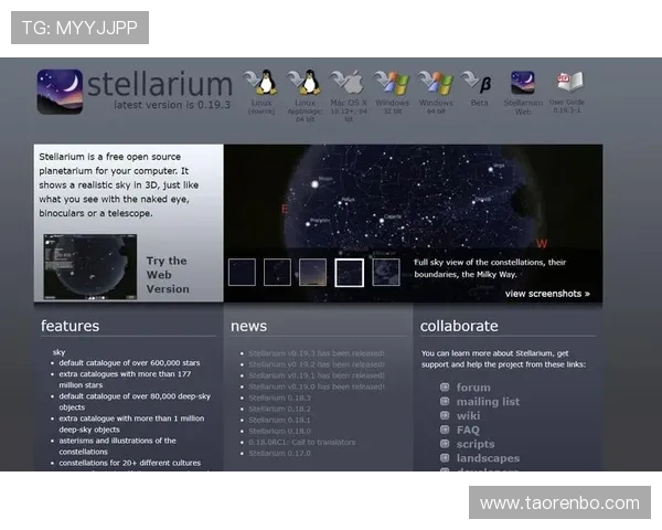 星空官方网站入口网址的重要性及其对用户的影响