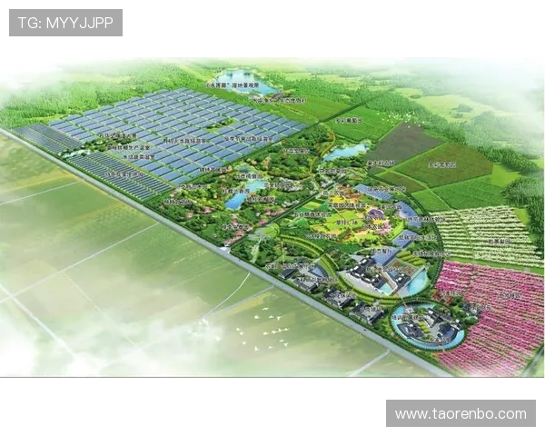 九州bet娱乐平台未来发展战略规划与行业竞争力提升的核心方向深入分析